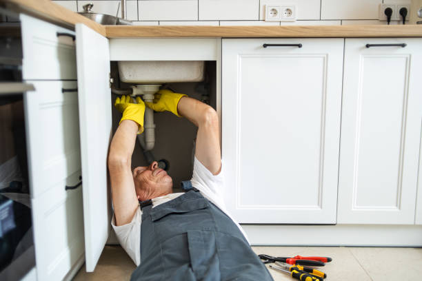 Best Sprinkler Systems  in Merrill, IA